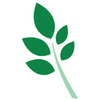 Center for wellness and health promotion logo.