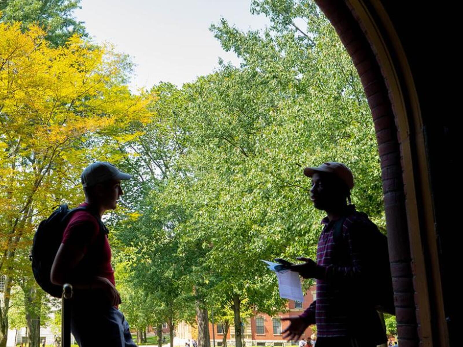 The outline of two students standing in a corridor in Seaver Hall with a bright outdoor background of green trees on the Harvard Quad. 