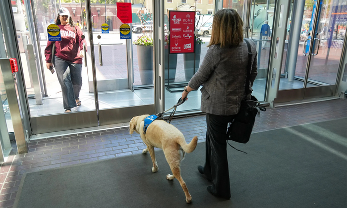 A Harvard community member with her guide dog.