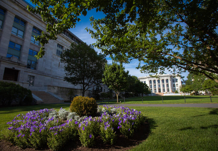 A photo of Harvard Longwood campus.