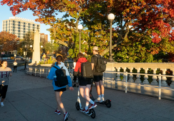 Harvard students walking around campus.