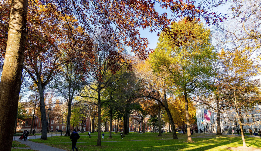Harvard Yard during fall.