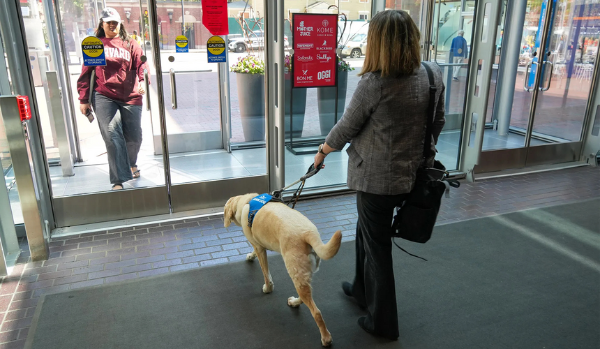 A Harvard community member with her guide dog.